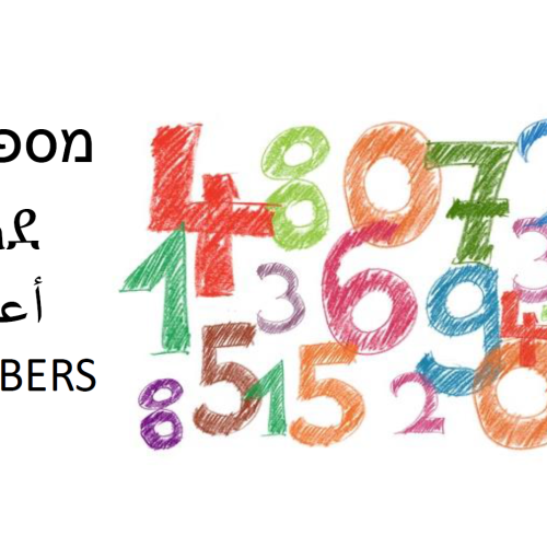 ספר בנושא מספרים